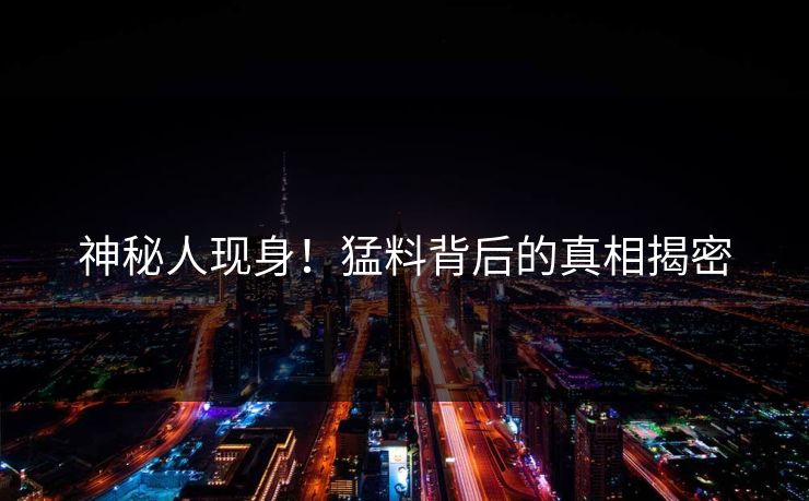 神秘人现身！猛料背后的真相揭密