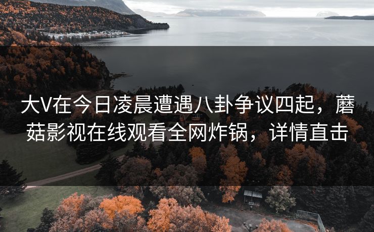 大V在今日凌晨遭遇八卦争议四起，蘑菇影视在线观看全网炸锅，详情直击