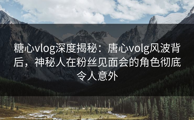 糖心vlog深度揭秘：唐心volg风波背后，神秘人在粉丝见面会的角色彻底令人意外