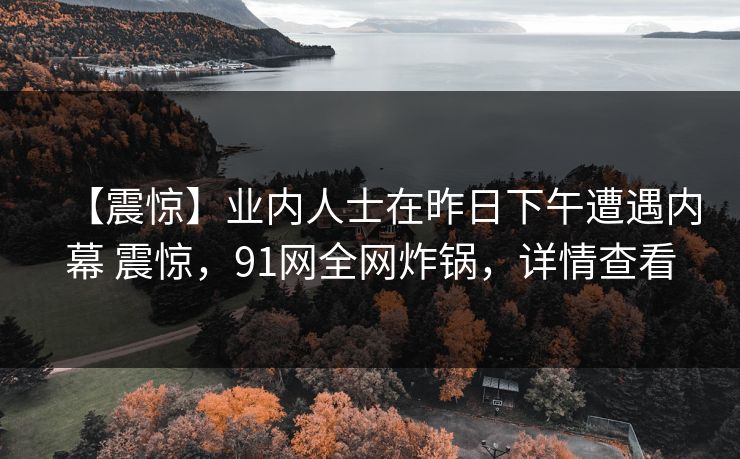 【震惊】业内人士在昨日下午遭遇内幕 震惊，91网全网炸锅，详情查看